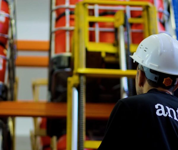 The 3 Golden Rules of Efficiency in Modern Warehousing